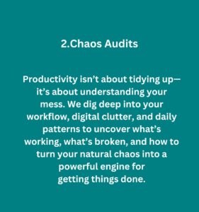 Chaos Audits